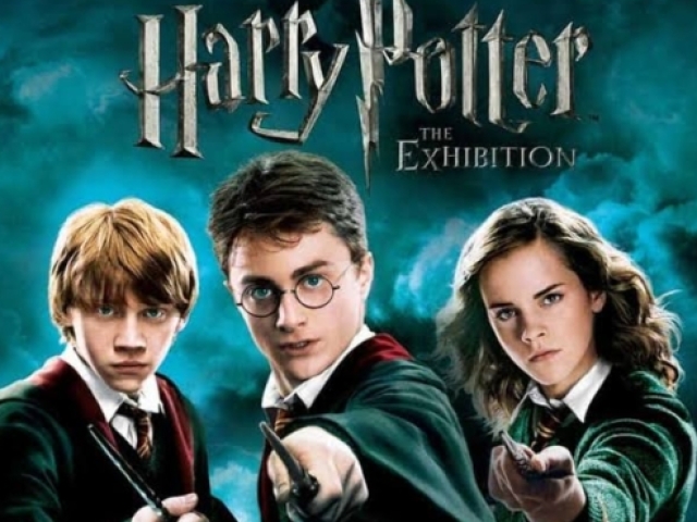 Qual seria sua história em Harry Potter?