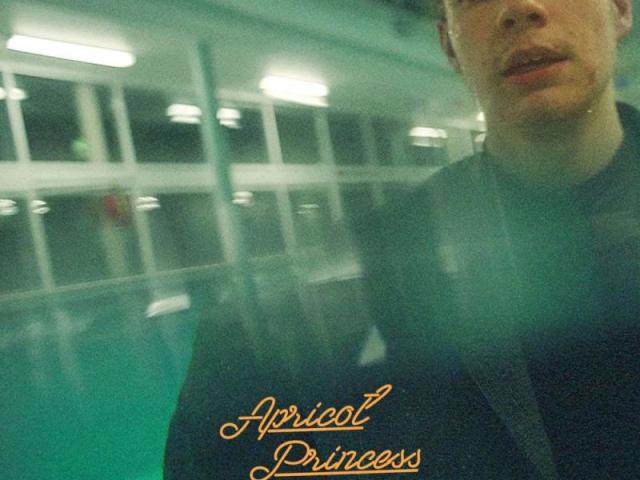 apricot princess (rex orange county)