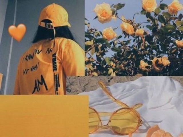Aesthetic《/( ̄(エ) ̄)ゞ》