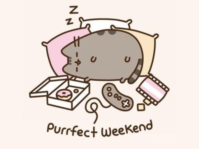 Eu amo a gatinha Pusheen!