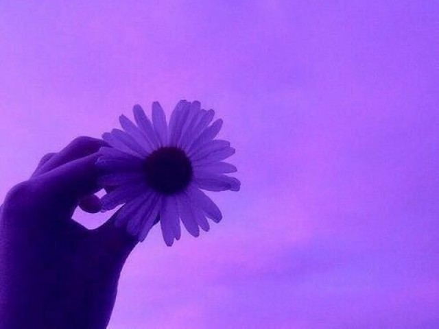 Roxo