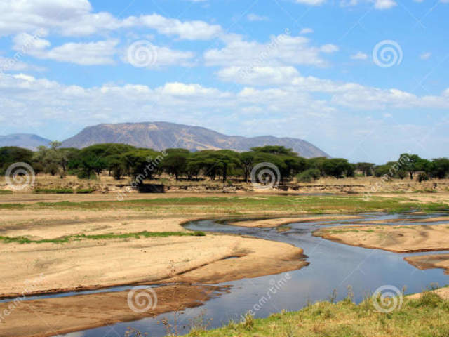 Em savanas ou florestas, de preferencia perto de água e lama.