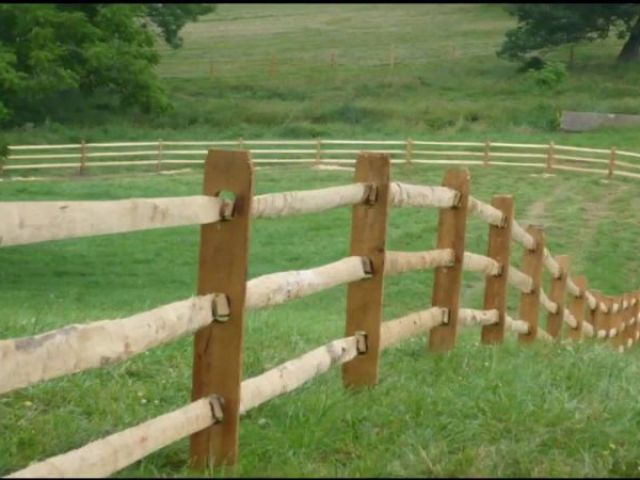 Dentro de cercados de fazendas ou sítios.