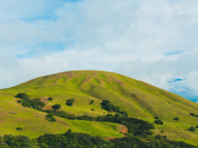 Em pastos e montanhas.