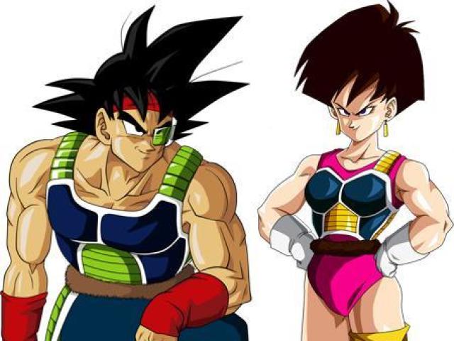 Bardock e Fasha