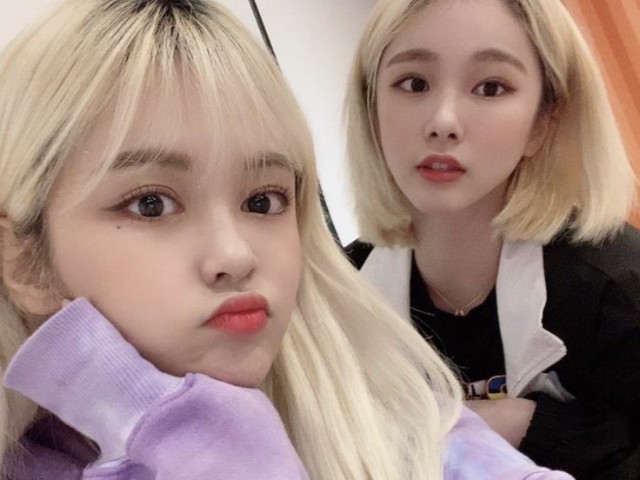 ❣️Everglow❣️