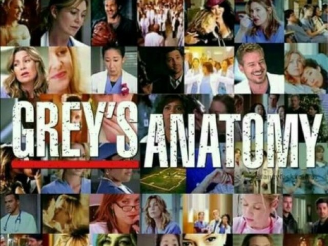 Provão sobre Greys Anatomy!