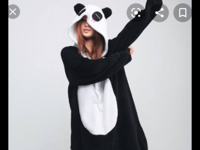 # sou panda