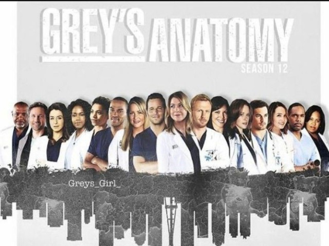 Realmente é fã de grey's!