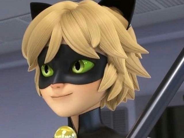 Chat Noir