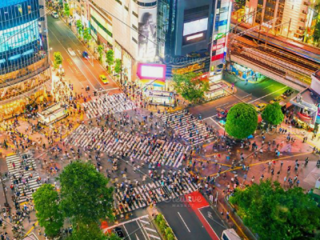 Shibuya
É o cruzamento em X que passam zilhões de pessoas todos os dias.este cruzamento fica em Shibuya, uma área muito moderna e jovem de Tóquio.Com o mar de gente passando por lá você pensa que pode ser atropelado ou esbarrar em todo mundo, mas não, as pessoas são super organizadas e todas passam certinho em cima da faixa. Em Shibuya você também encontra a estátua do cão Hachiko,o cachorrinho do filme "sempre ao seu lado".