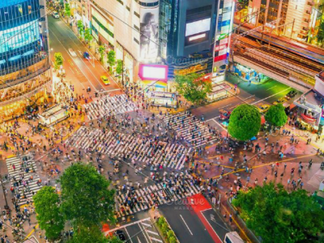 Shibuya

É o cruzamento em X que passam zilhões de pessoas todos os dias.este cruzamento fica em Shibuya, uma área muito moderna e jovem de Tóquio.Com o mar de gente passando por lá você pensa que pode ser atropelado ou esbarrar em todo mundo, mas não, as pessoas são super organizadas e todas passam certinho em cima da faixa. Em Shibuya você também encontra a estátua do cão Hachiko,o cachorrinho do filme "sempre ao seu lado".