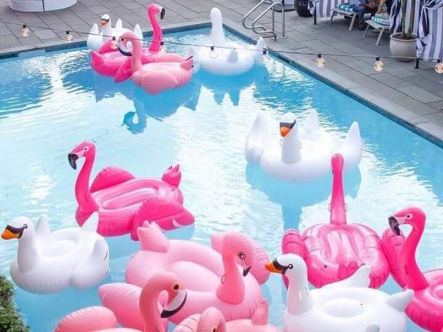 Monte sua festa na piscina🍉✨🎂💦