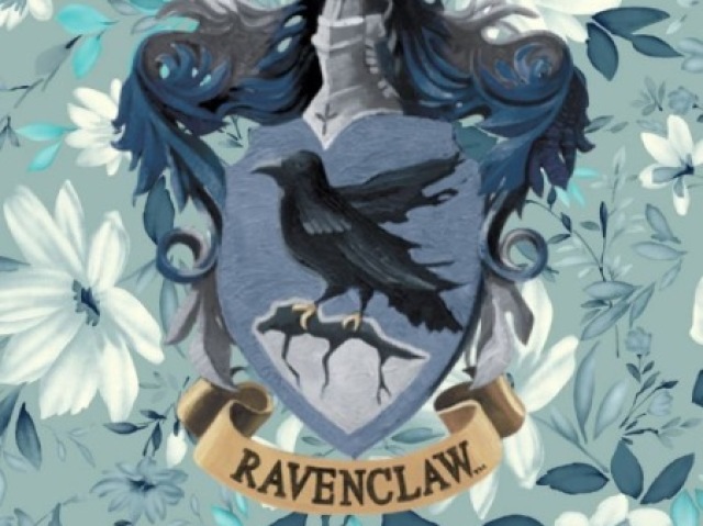 Ravenclaw💙🦅