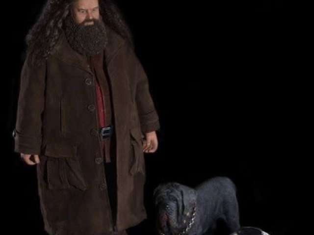 Hagrid