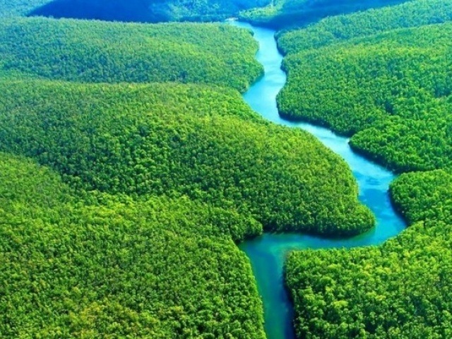 Amazônica