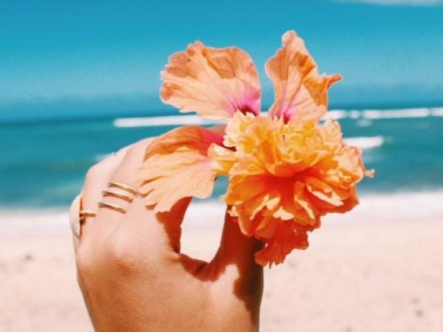 Sua sessão de fotos foi perfeita! 🌺