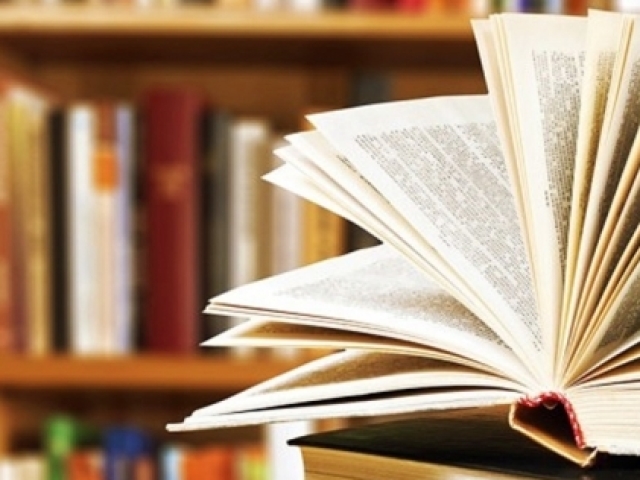 Qual livro é mais a sua cara?