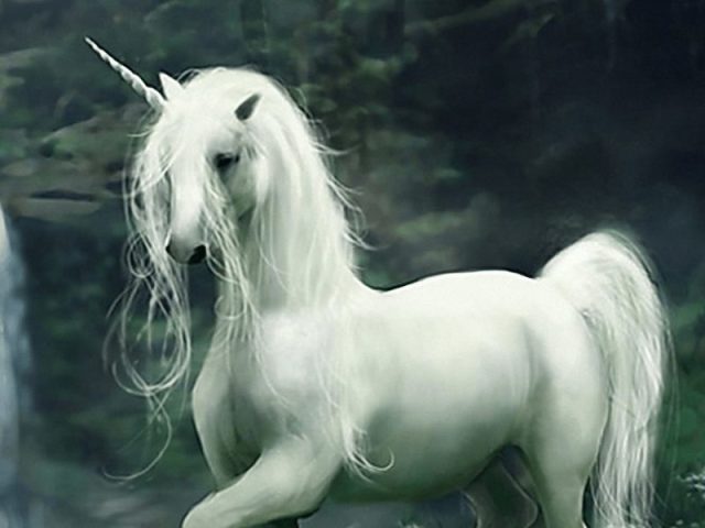 Unicórnio