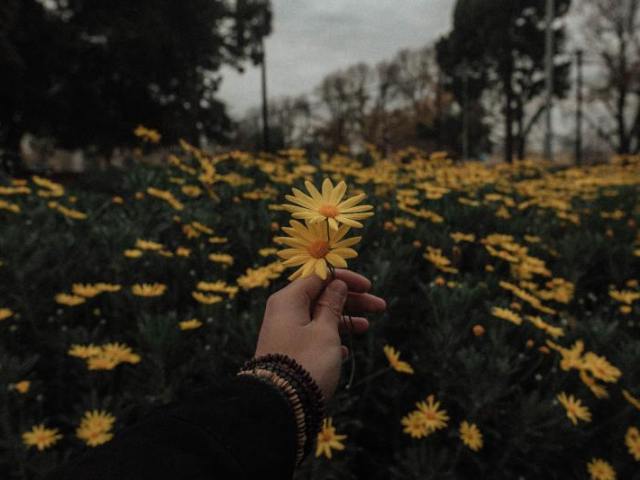 🍒Monte seu dia perfeito🍒