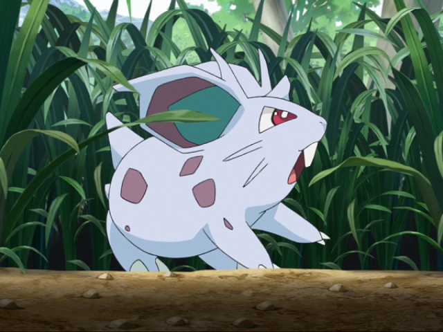 nidoran femea