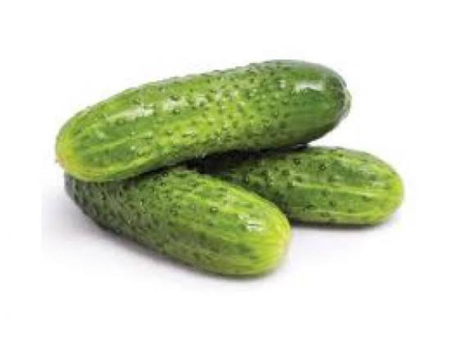 Pepino