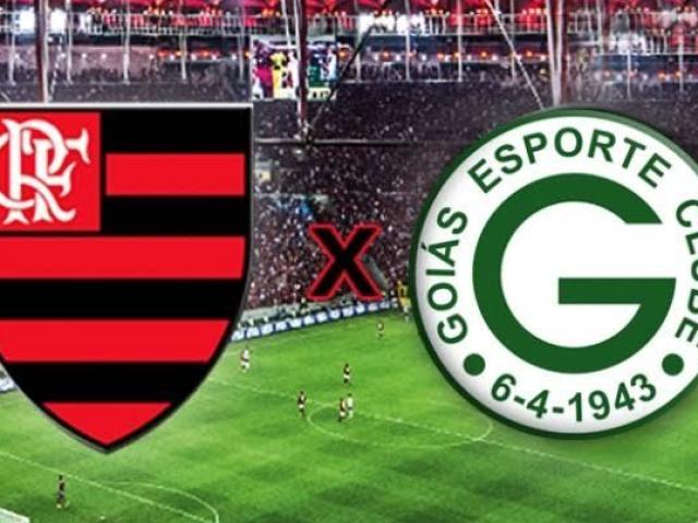 O jogo
Flamengo 2x2 Goias