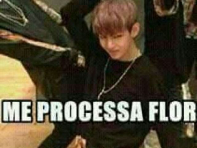 Agora me processem flores