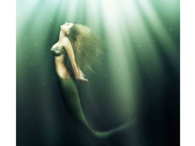 Sereia 🧜🏼♀️