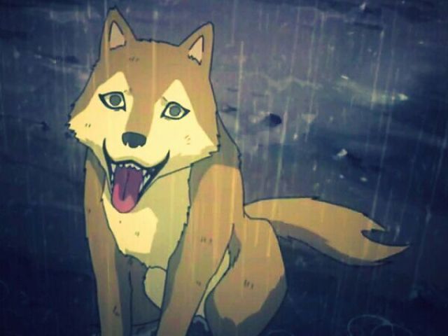 Chibi