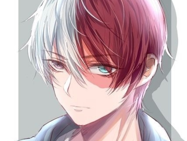 Todoroki