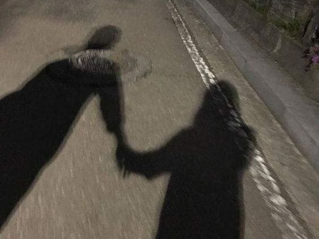 jรก shippo