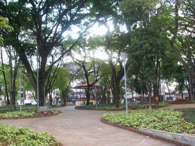 No parque