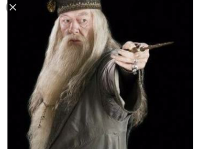 Alvo Dumbledore
