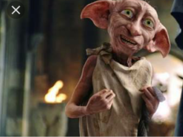 Dobby!