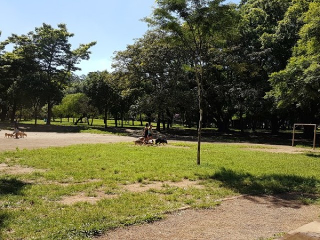 em um parque