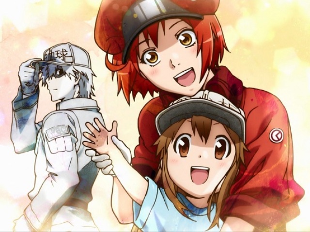 Hataraku Saibou