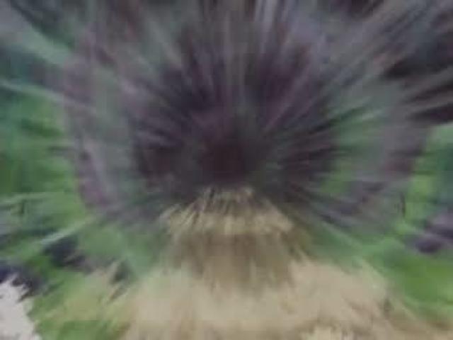 Estilo vento jutsu de avanço