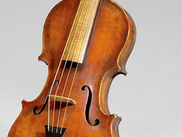 violino