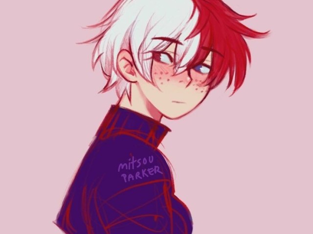 Todoroki forever 💙