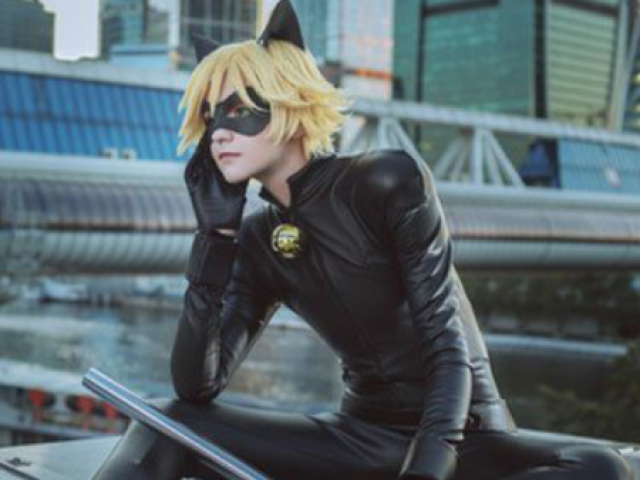 Cat noir