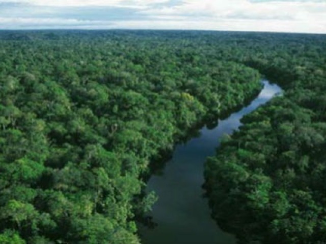 Floresta Amazônica