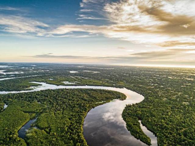 Floresta amazônica