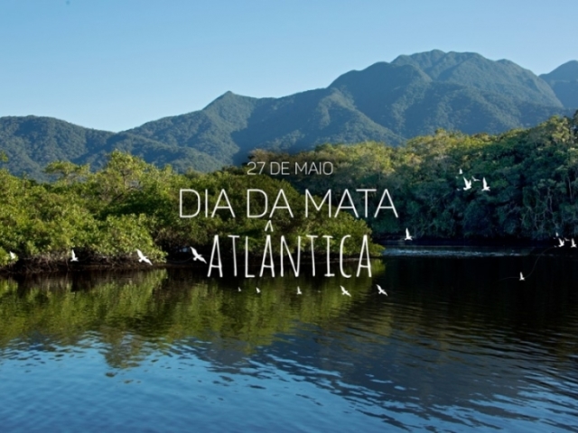 Mata atlântica