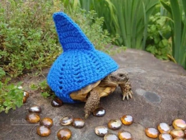 tartaburao