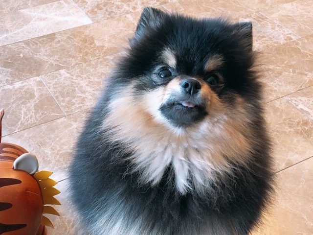 Kim Yeontan