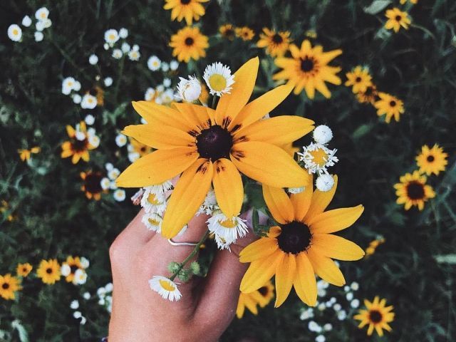 Escolha uma imagem que te indicarei uma música☀️