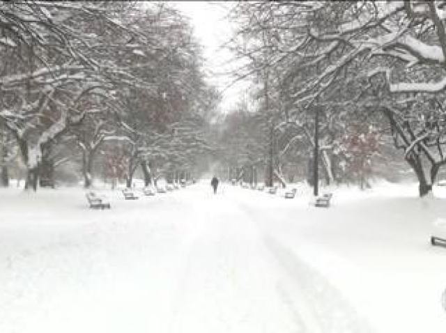 neve