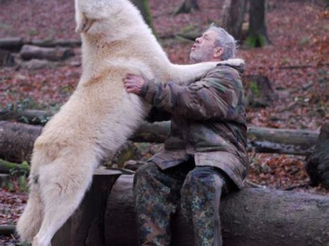 ser amigo de um lobo!