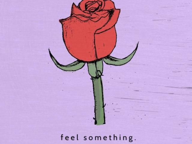 Feel something-Bea Miller